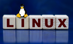 Linux come servizio sul cloud {{brizy_dc_image_alt entityId=